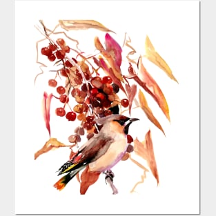 Waxwing and Fall Foliage Posters and Art